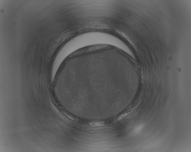 X0000073740451200608171310
