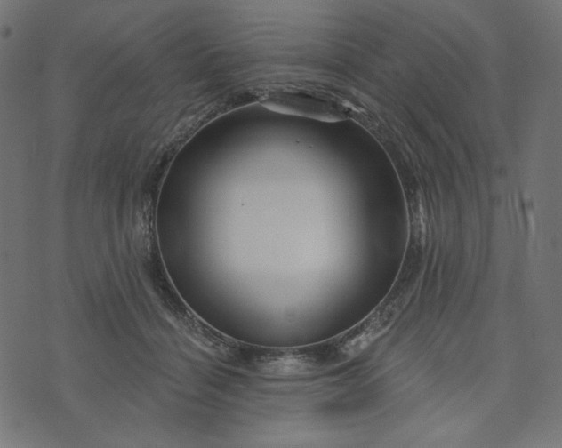 X0000073740460200608171310