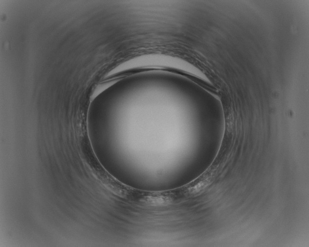 X0000073740464200608171310