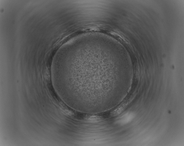 X0000073740467200608171310
