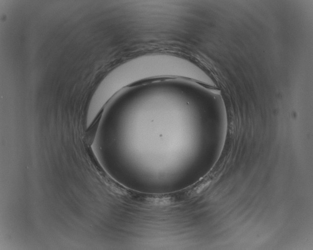 X0000073740469200608171310