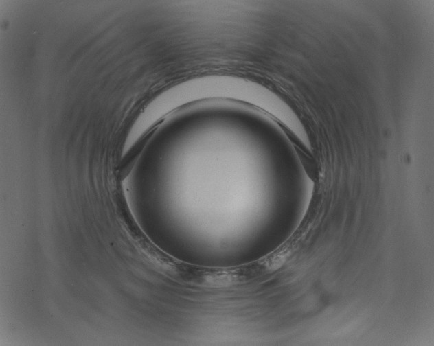 X0000073740470200608171310