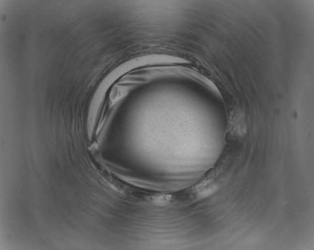 X0000073740474200608171310
