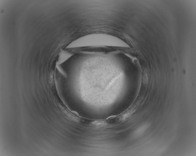 X0000073740477200608171311