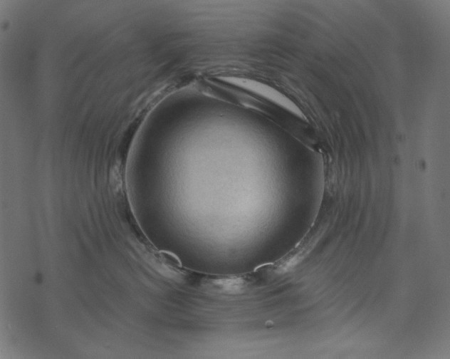 X0000073740478200608171311