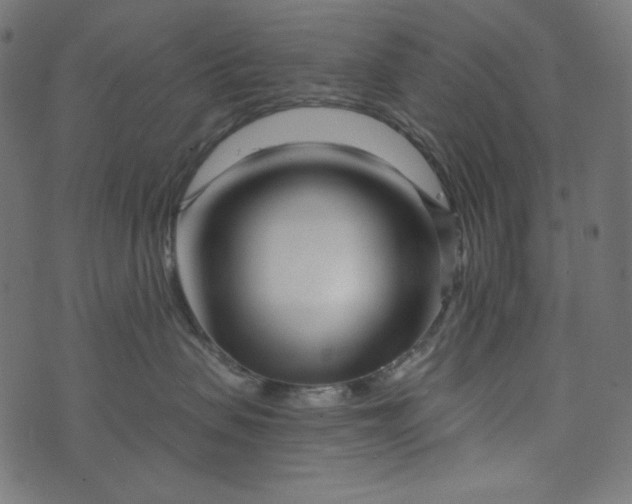X0000073740479200608171311