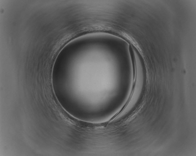 X0000073740481200608171310