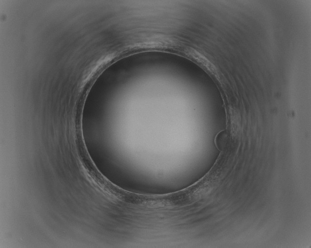 X0000073740482200608171310