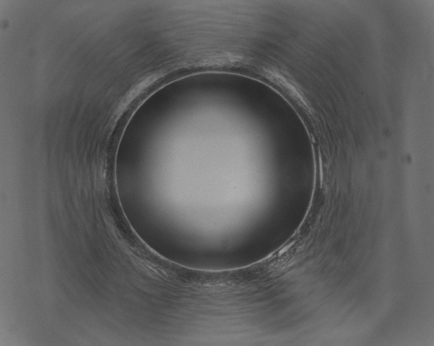 X0000073740483200608171310