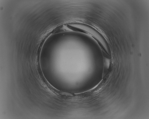 X0000073740485200608171310