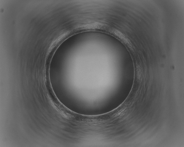 X0000073740486200608171310