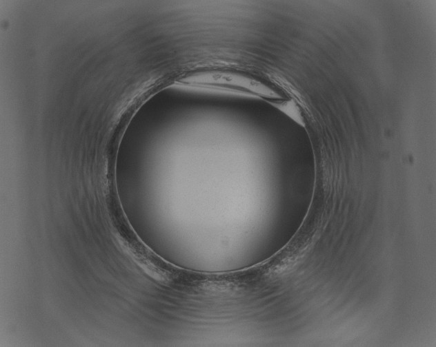 X0000073740490200608171310