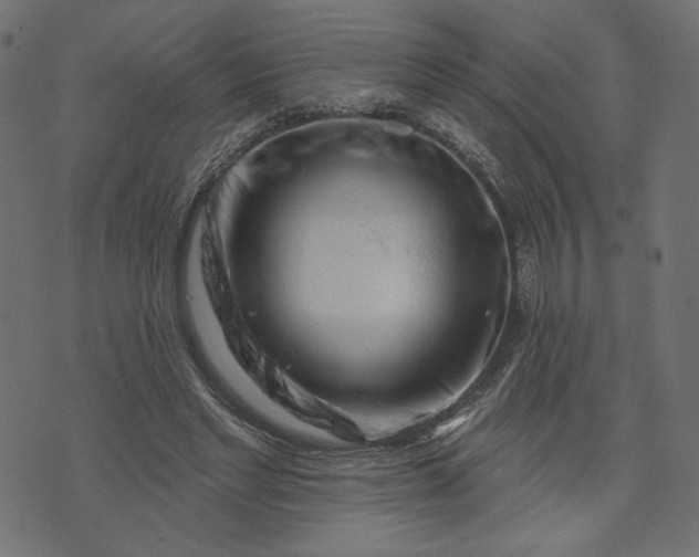 X0000073740493200608171310