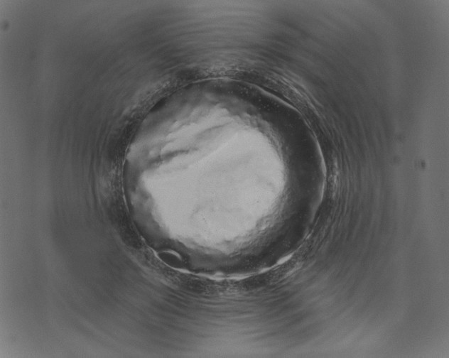 X0000073740503200608171309