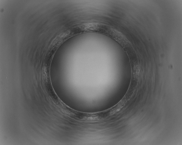 X0000073740506200608171309