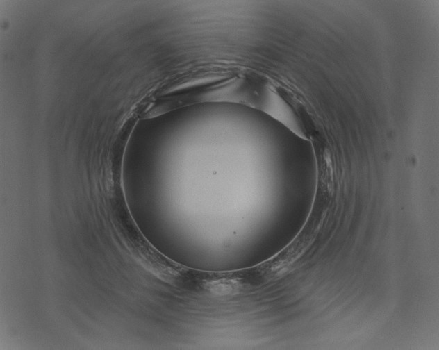 X0000073740508200608171309