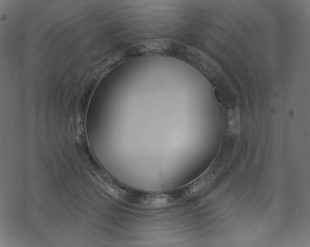 X0000073740514200608171309