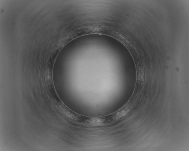X0000073740518200608171309