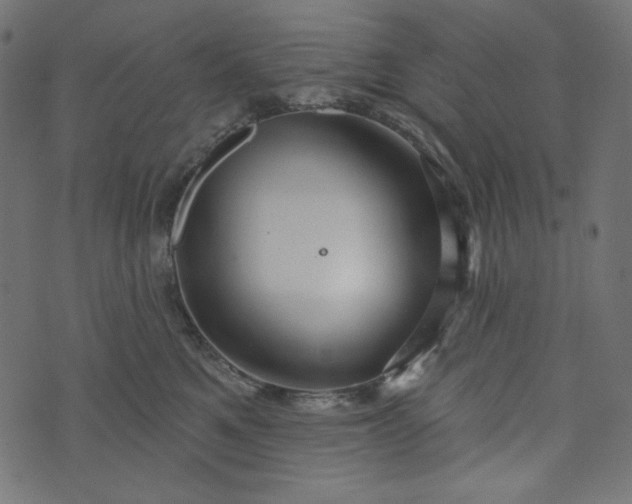 X0000073740521200608171309