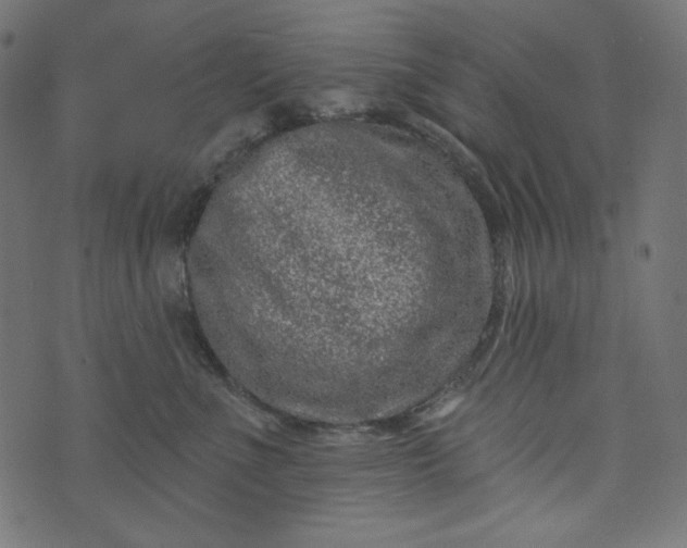 X0000073740523200608171309