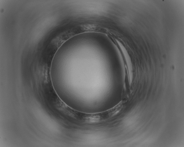 X0000073740525200608171309