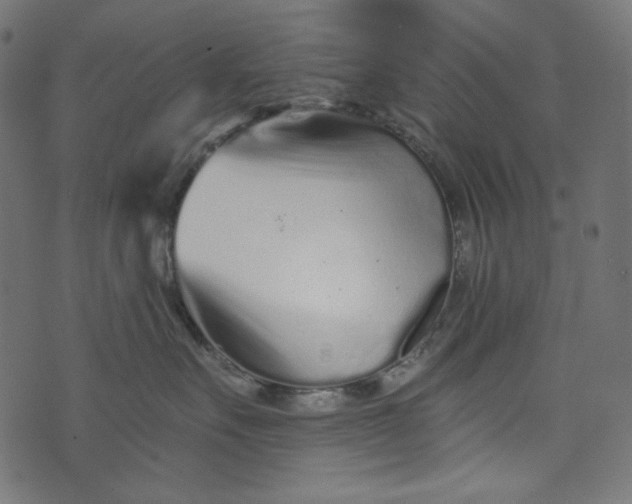 X0000073740527200608171309