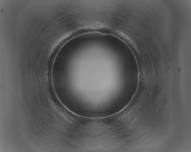 X0000073740535200608171308
