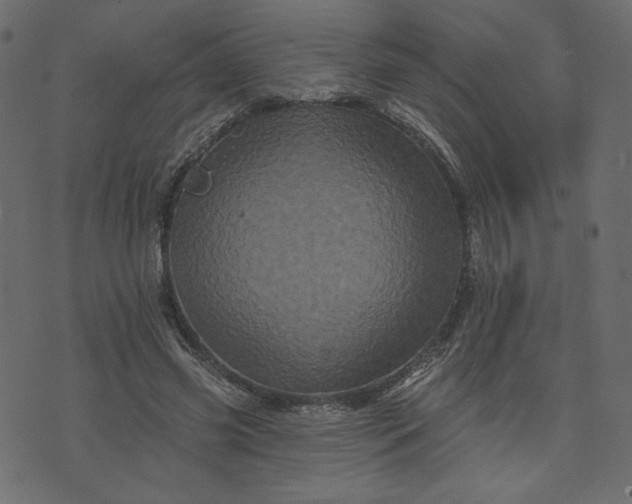 X0000073740541200608171308