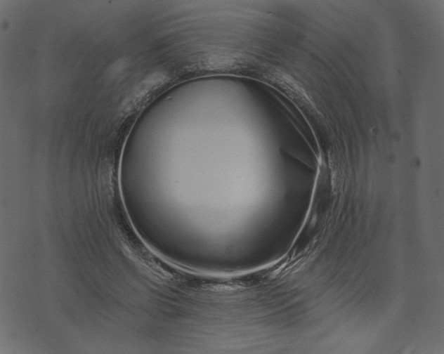 X0000073740542200608171308