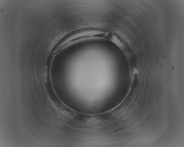 X0000073740544200608171308