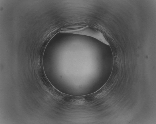 X0000073740548200608171309