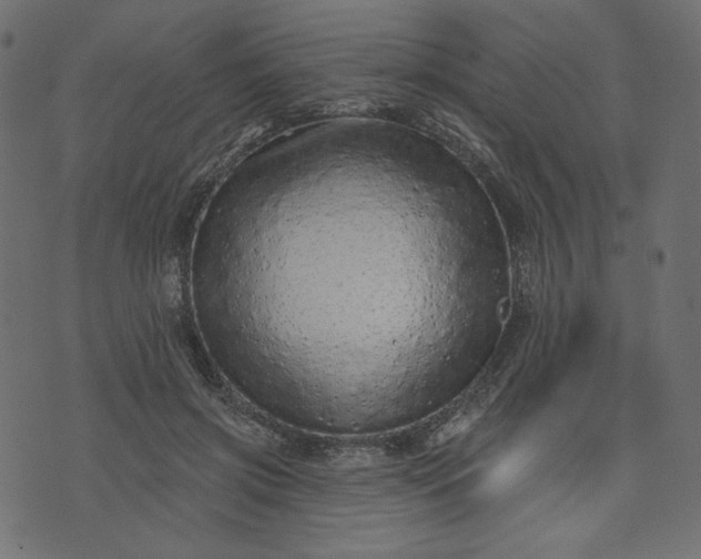 X0000073740549200608171309