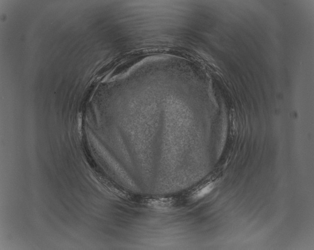 X0000073740550200608171309