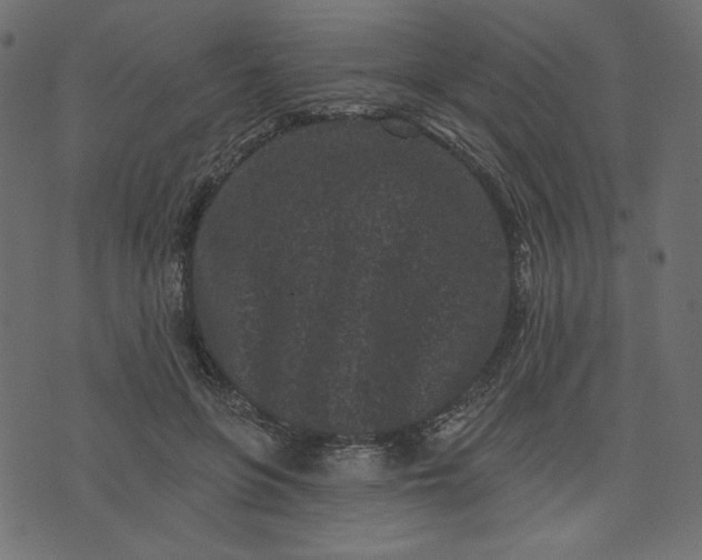 X0000073740551200608171309