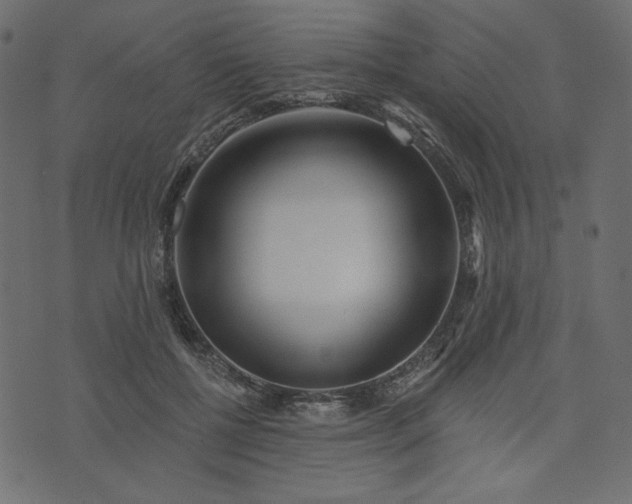 X0000073740552200608171309