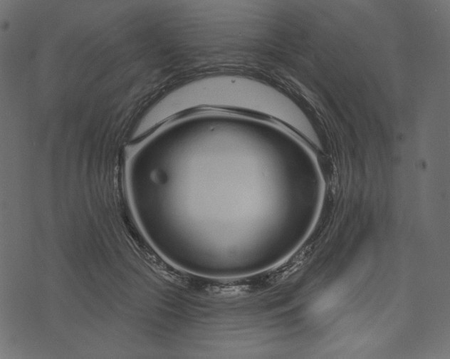 X0000073740553200608171309