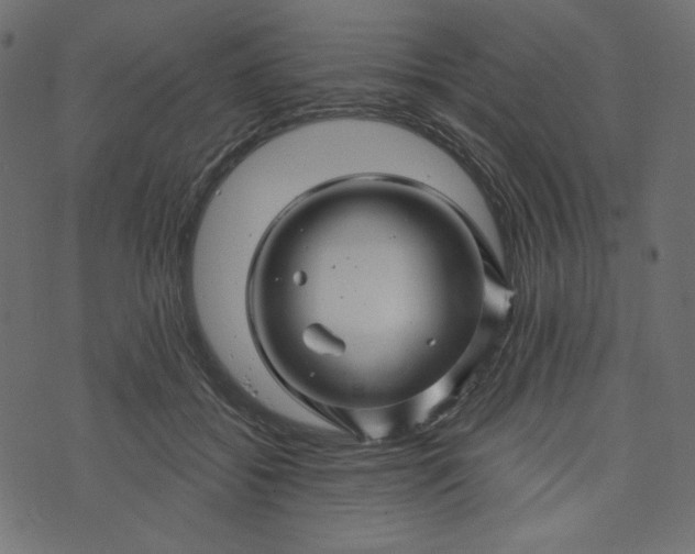 X0000073740556200608171309