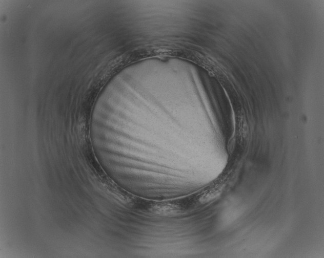 X0000073740557200608171309