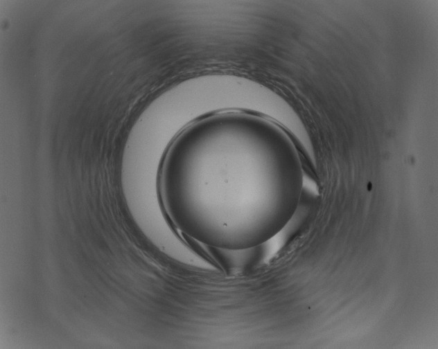 X0000073740564200608171309
