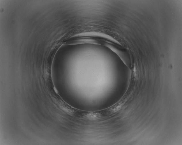 X0000073740566200608171309