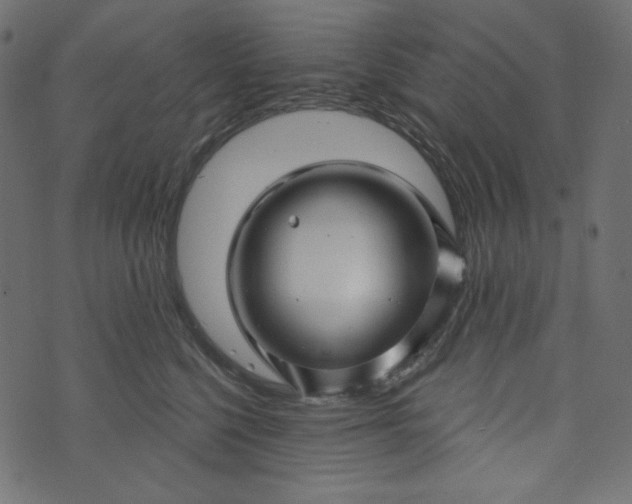 X0000073740568200608171309