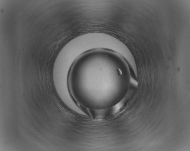 X0000073740570200608171309