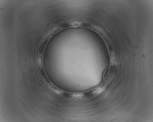 X0000073740573200608171309