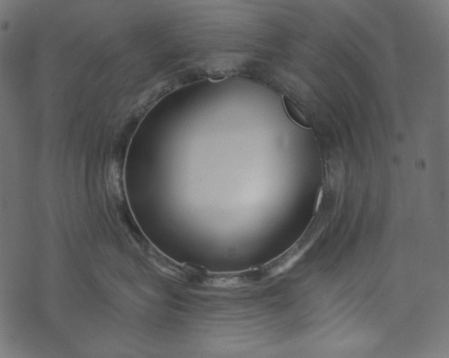 X0000073740575200608171309