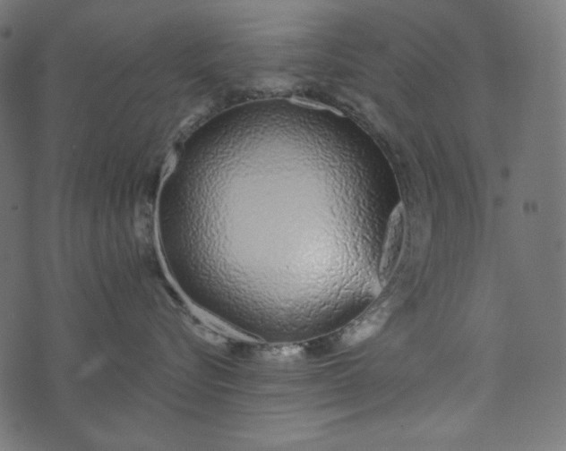 X0000073740576200608171309