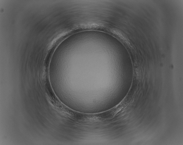 X0000073740583200608171308