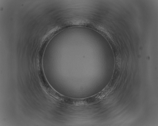 X0000073740587200608171308