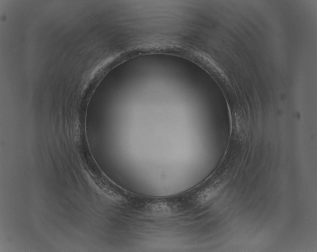 X0000073740588200608171308