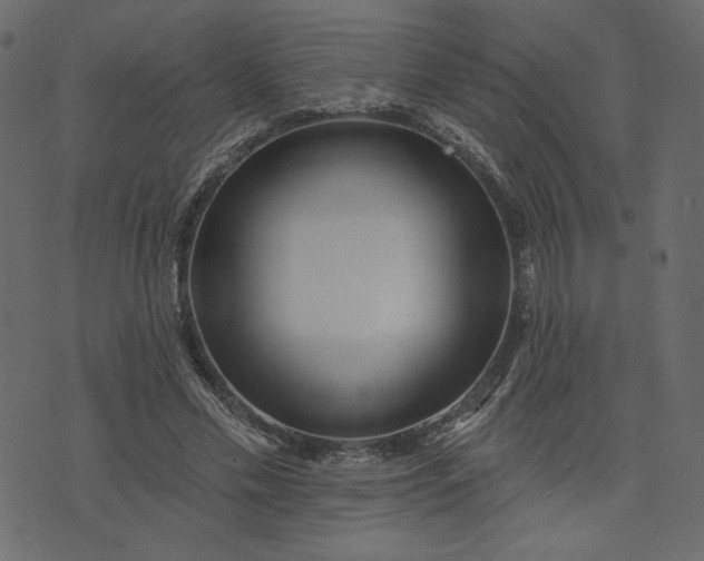 X0000073740589200608171308