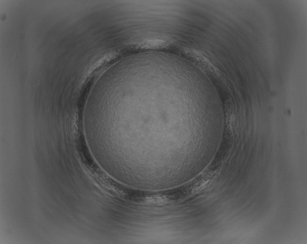 X0000073740591200608171308